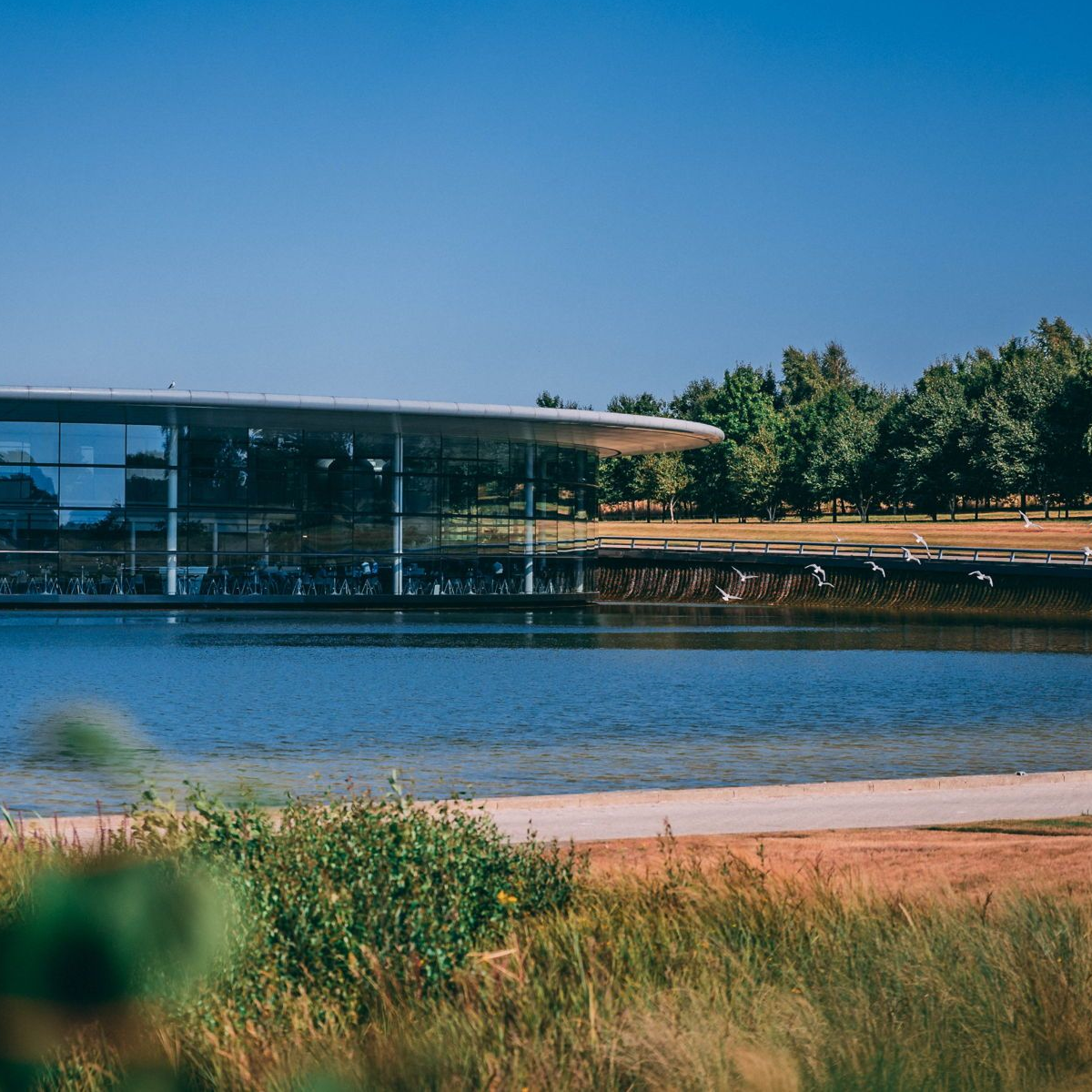Scenic photo of part of the McLaren Technology Centre building, shot from across the water. Blurry grassland can be scene in the foreground. A small flock of birds flying over the water.